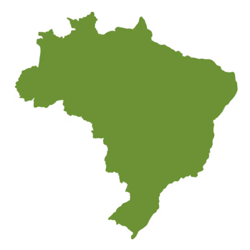 10 curiosidades que você não sabia sobre o Brasil